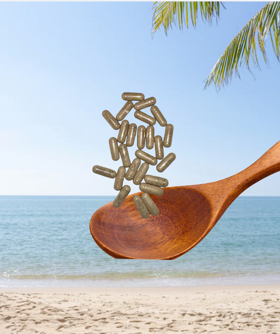 Sea Moss + Burdock + Bladderwrack Capsules